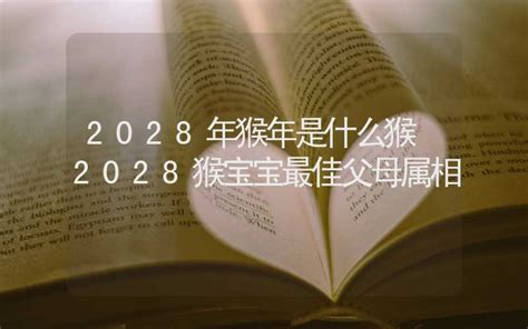 猴年2028 仙人掌禁忌